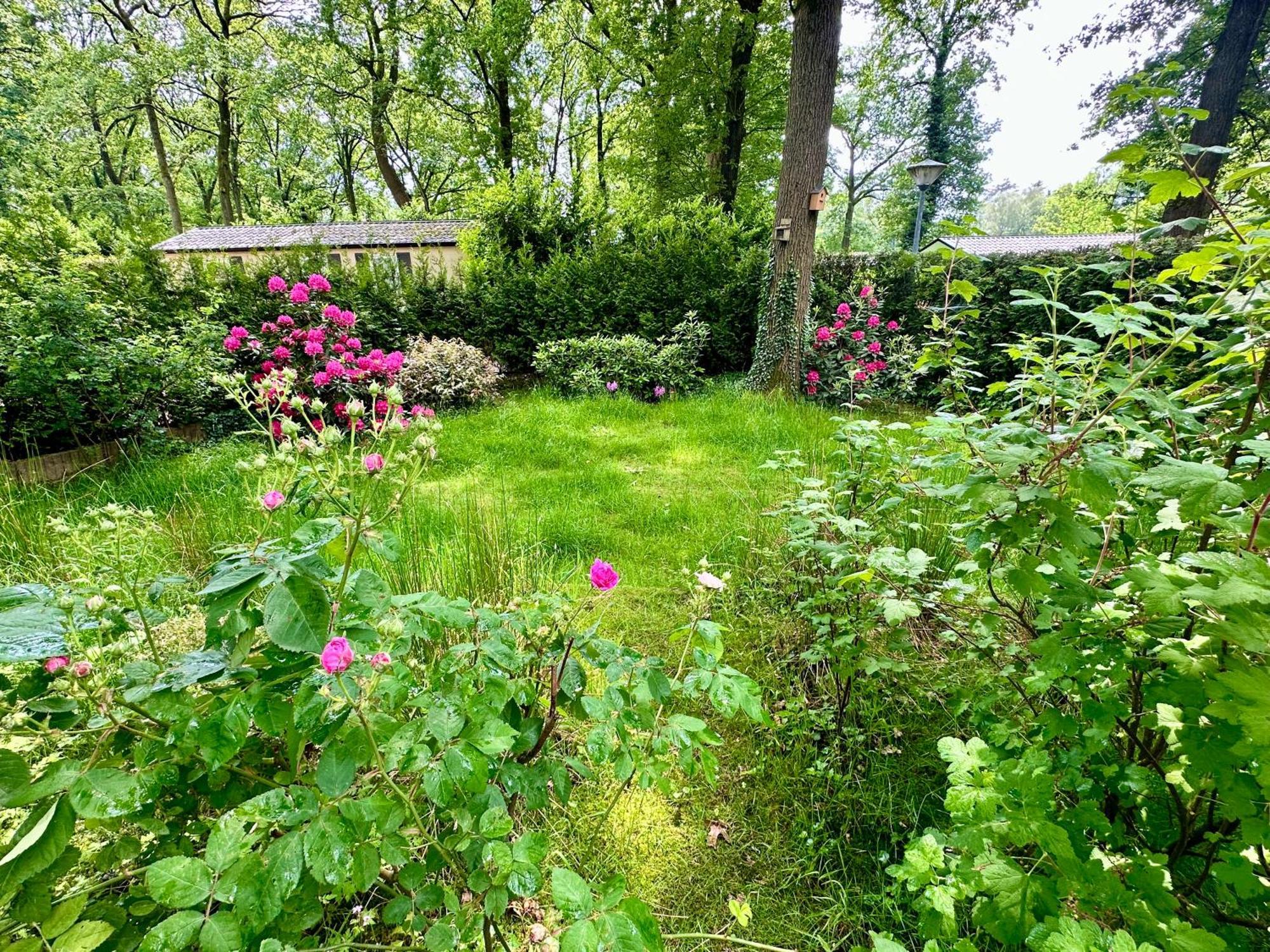 Vakantie Veluwe Wageningen Exterior foto